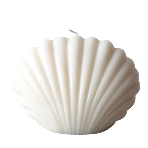 Seashell